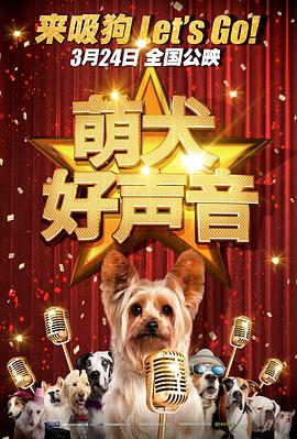 xvideos下载