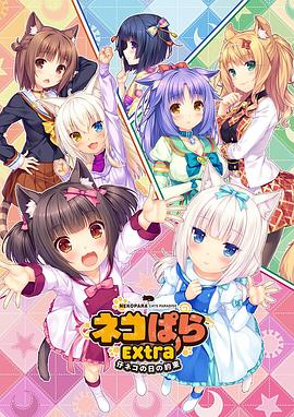 91高清视频免费看