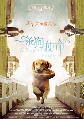 亚洲国产天堂久久综合图区