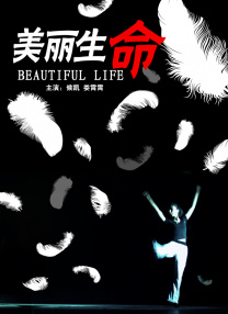 年轻的少妇中文
