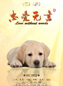 只有她的秘密爱情故事
